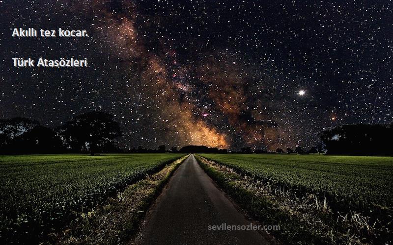 Türk Atasözleri - Akıllı tez kocar.