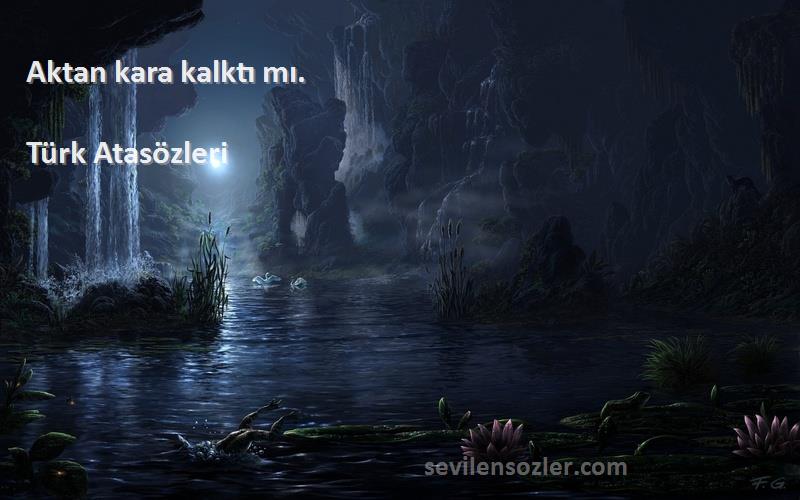 Türk Atasözleri - Aktan kara kalktı mı.