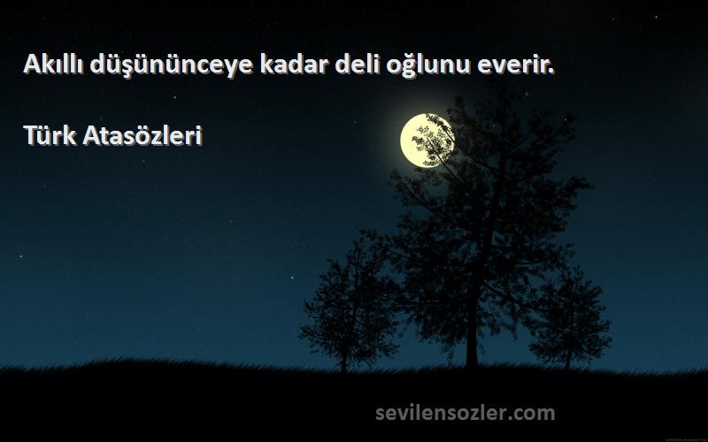 Türk Atasözleri - Akıllı düşününceye kadar deli oğlunu everir.