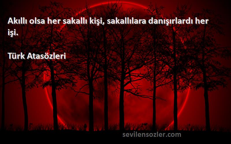 Türk Atasözleri - Akıllı olsa her sakallı kişi, sakallılara danışırlardı her işi.