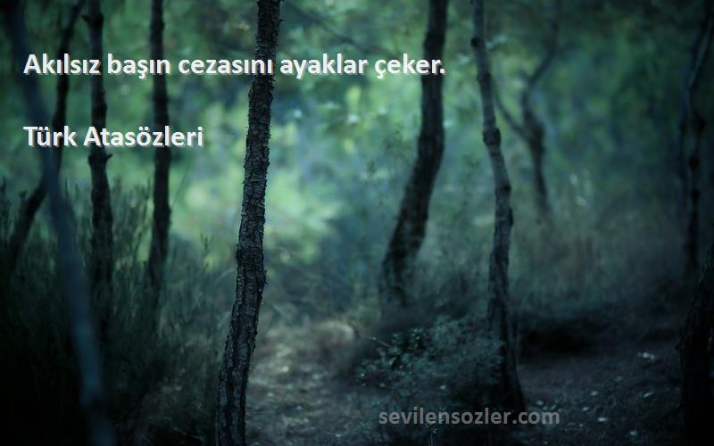 Türk Atasözleri - Akılsız başın cezasını ayaklar çeker.