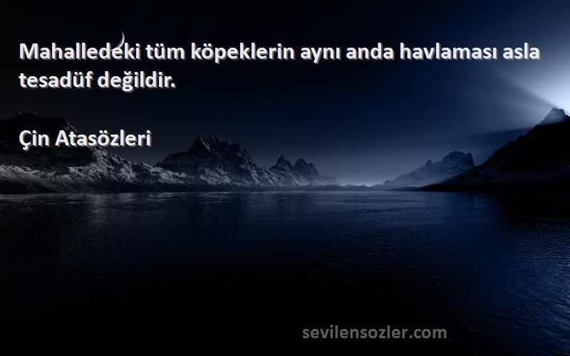 Çin Atasözleri - Mahalledeki tüm köpeklerin aynı anda havlaması asla tesadüf değildir.