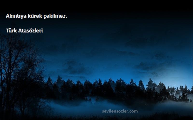Türk Atasözleri - Akıntıya kürek çekilmez.