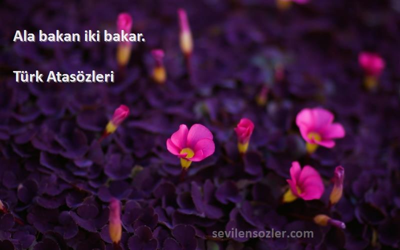 Türk Atasözleri - Ala bakan iki bakar.