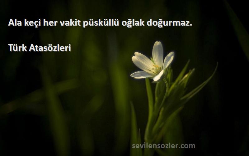 Türk Atasözleri - Ala keçi her vakit püsküllü oğlak doğurmaz.