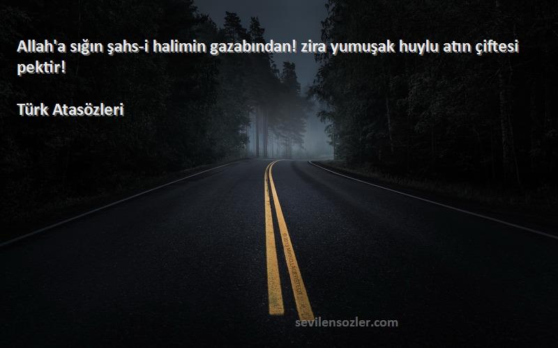 Türk Atasözleri Sözleri 
Allah'a sığın şahs-i halimin gazabından! zira yumuşak huylu atın çiftesi pektir!