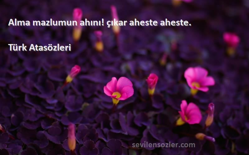 Türk Atasözleri - Alma mazlumun ahını! çıkar aheste aheste.