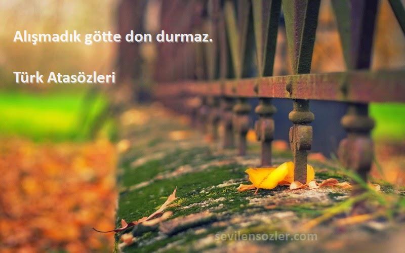 Türk Atasözleri Sözleri 
Alışmadık götte don durmaz.