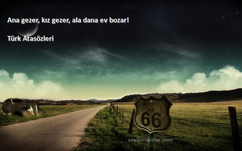 Türk Atasözleri - Ana gezer, kız gezer, ala dana ev bozar!