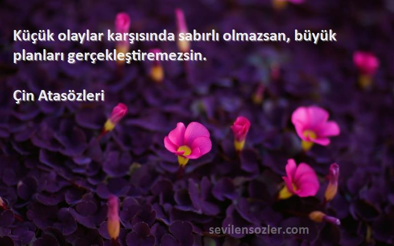 Çin Atasözleri - Küçük olaylar karşısında sabırlı olmazsan, büyük planları gerçekleştiremezsin.