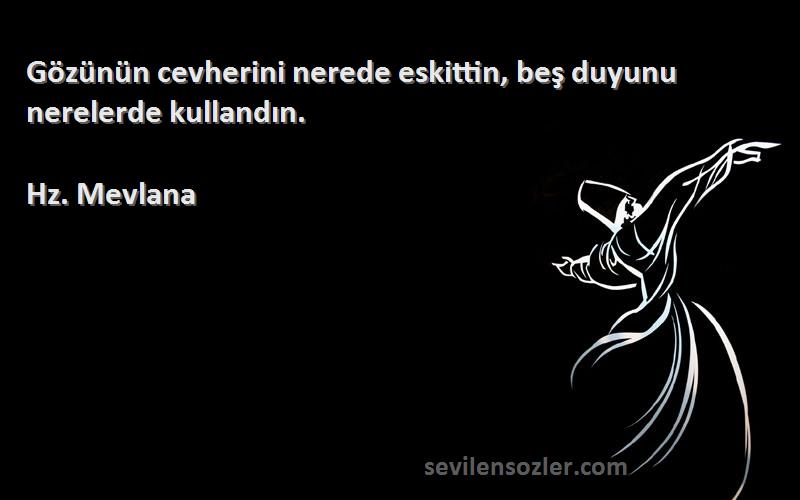 Hz. Mevlana - Gözünün cevherini nerede eskittin, beş duyunu nerelerde kullandın.