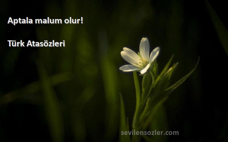 Türk Atasözleri - Aptala malum olur!