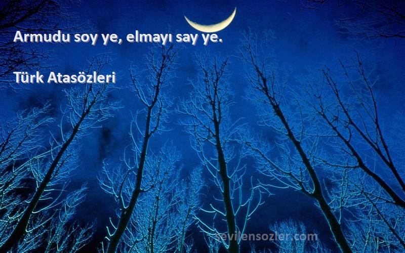 Türk Atasözleri - Armudu soy ye, elmayı say ye.