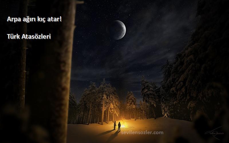 Türk Atasözleri - Arpa ağırı kıç atar!