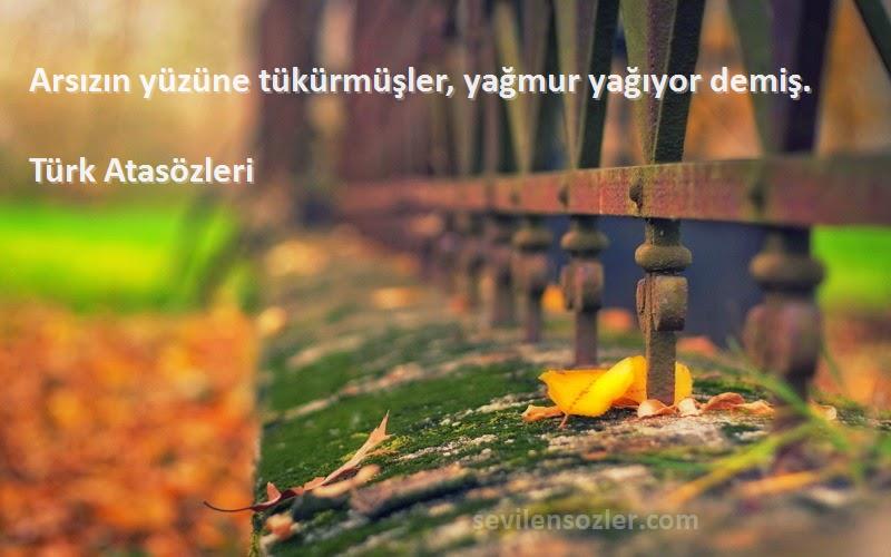 Türk Atasözleri - Arsızın yüzüne tükürmüşler, yağmur yağıyor demiş.