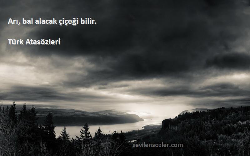 Türk Atasözleri - Arı, bal alacak çiçeği bilir.