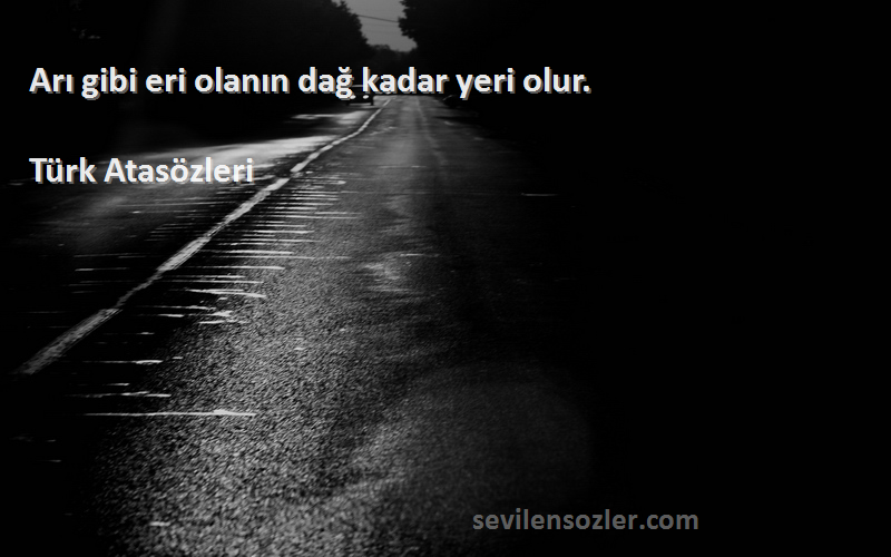 Türk Atasözleri - Arı gibi eri olanın dağ kadar yeri olur.