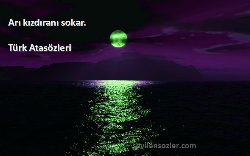 Türk Atasözleri - Arı kızdıranı sokar.