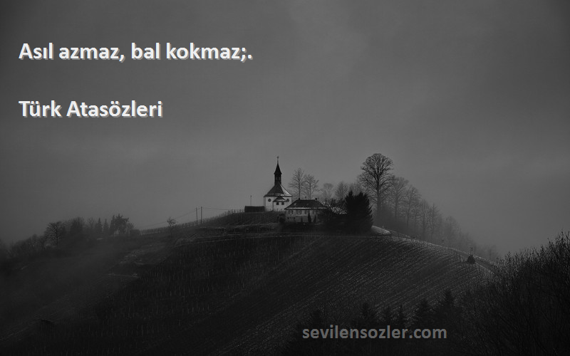 Türk Atasözleri - Asıl azmaz, bal kokmaz;.