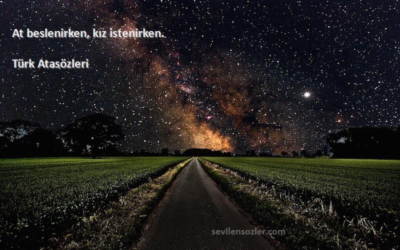 Türk Atasözleri - At beslenirken, kız istenirken.