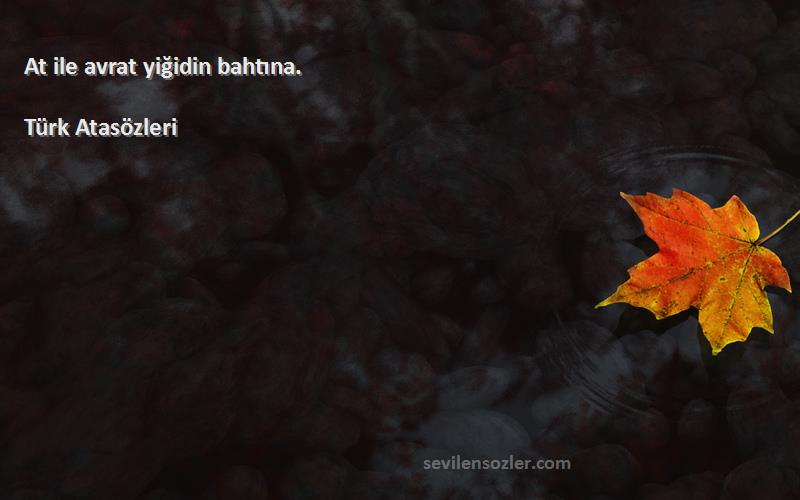 Türk Atasözleri - At ile avrat yiğidin bahtına.