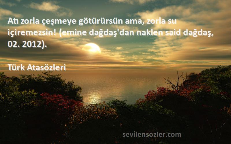 Türk Atasözleri Sözleri 
Atı zorla çeşmeye götürürsün ama, zorla su içiremezsin! (emine dağdaş'dan naklen said dağdaş, 02. 2012).