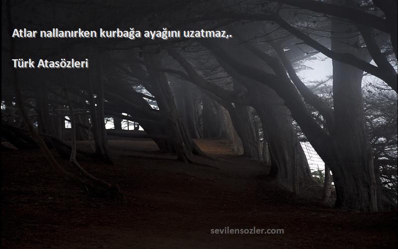 Türk Atasözleri - Atlar nallanırken kurbağa ayağını uzatmaz,.