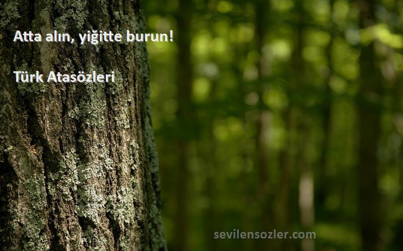 Türk Atasözleri - Atta alın, yiğitte burun!