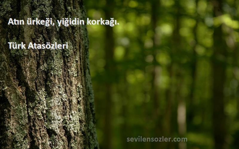 Türk Atasözleri - Atın ürkeği, yiğidin korkağı.