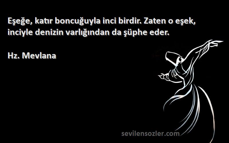 Hz. Mevlana - Eşeğe, katır boncuğuyla inci birdir. Zaten o eşek, inciyle denizin varlığından da şüphe eder.