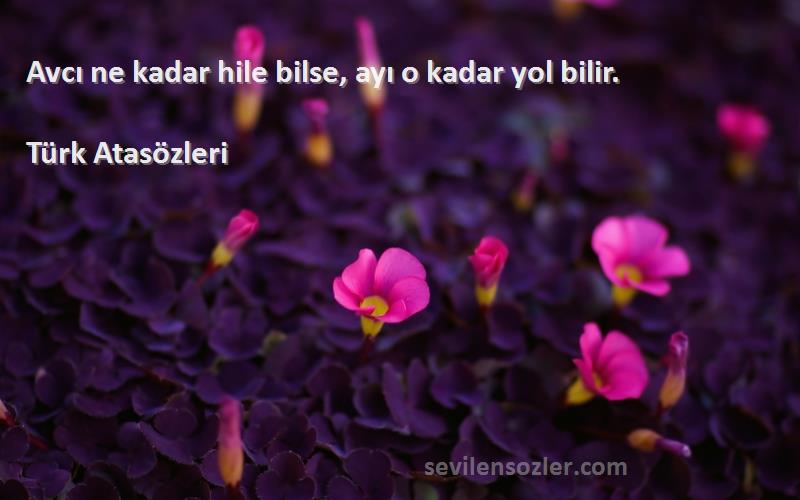 Türk Atasözleri - Avcı ne kadar hile bilse, ayı o kadar yol bilir.