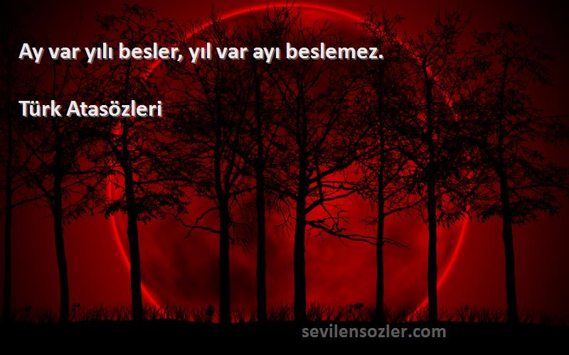 Türk Atasözleri - Ay var yılı besler, yıl var ayı beslemez.