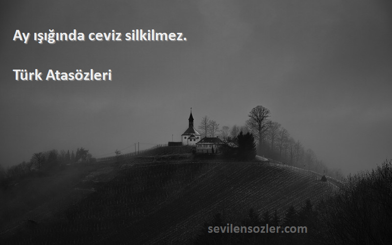 Türk Atasözleri Sözleri 
Ay ışığında ceviz silkilmez.