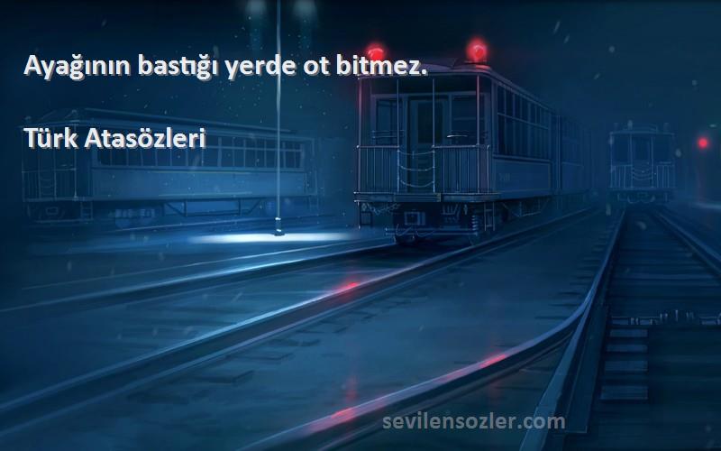 Türk Atasözleri - Ayağının bastığı yerde ot bitmez.