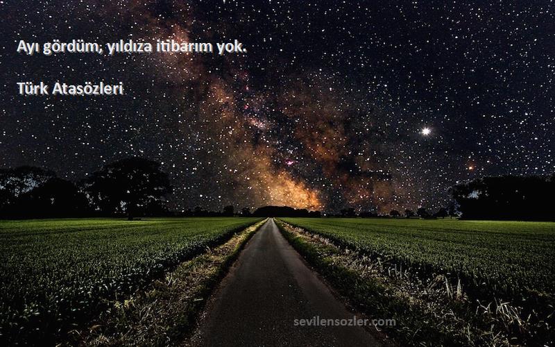 Türk Atasözleri - Ayı gördüm, yıldıza itibarım yok.