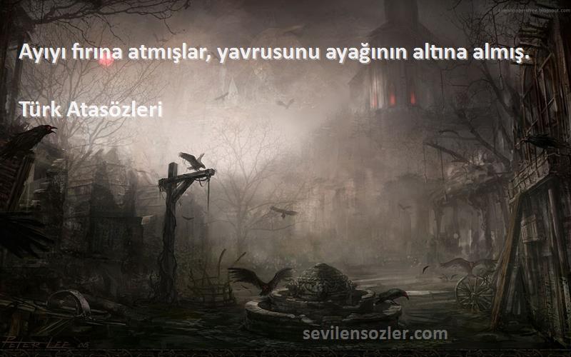 Türk Atasözleri - Ayıyı fırına atmışlar, yavrusunu ayağının altına almış.