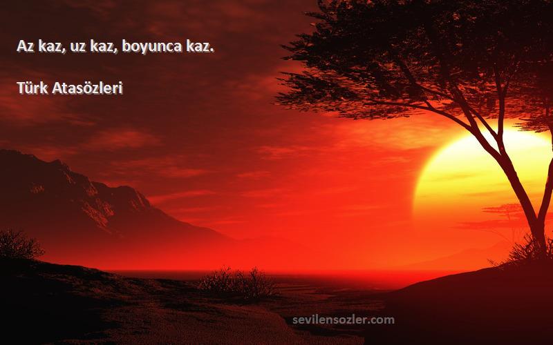 Türk Atasözleri - Az kaz, uz kaz, boyunca kaz.