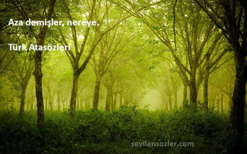 Türk Atasözleri - Aza demişler, nereye.