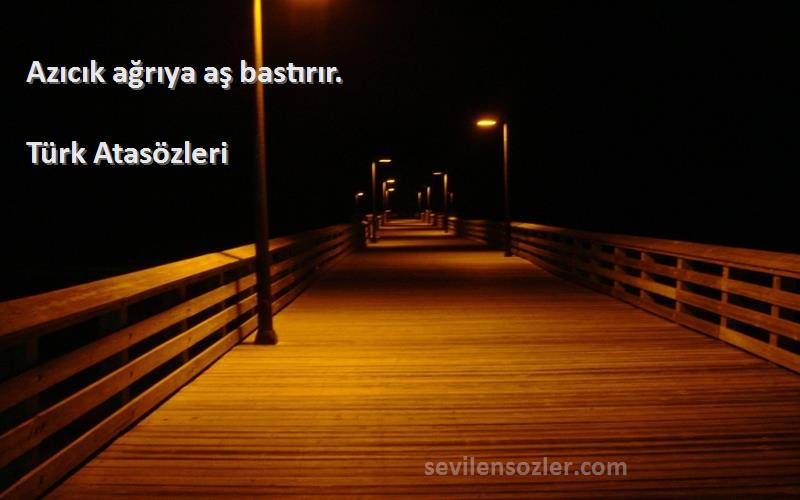 Türk Atasözleri - Azıcık ağrıya aş bastırır.