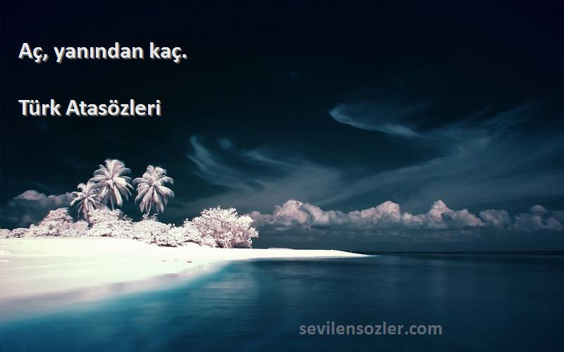 Türk Atasözleri - Aç, yanından kaç.