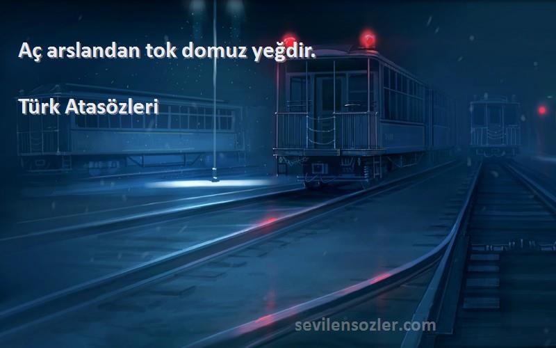 Türk Atasözleri - Aç arslandan tok domuz yeğdir.