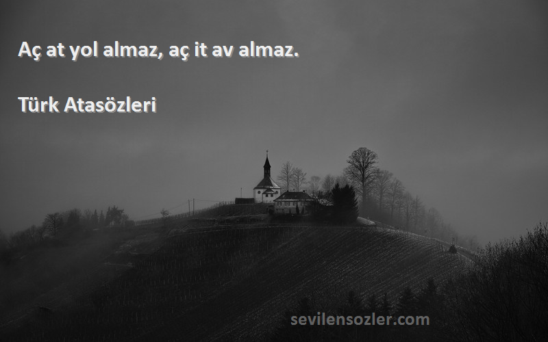 Türk Atasözleri - Aç at yol almaz, aç it av almaz.