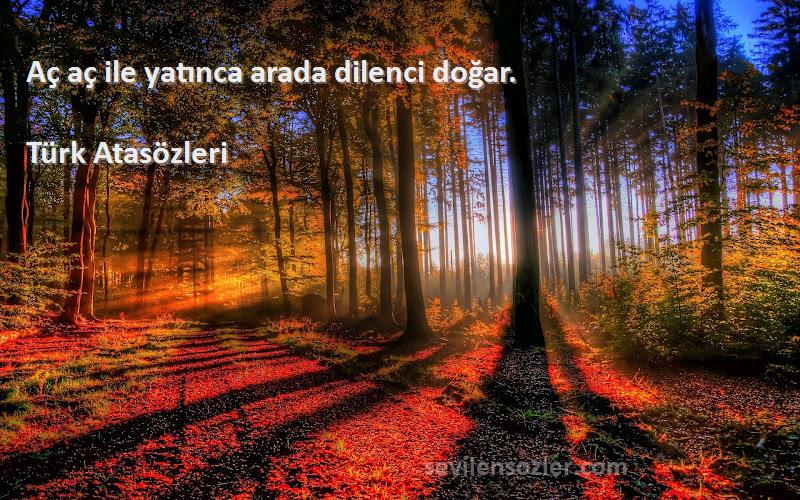 Türk Atasözleri - Aç aç ile yatınca arada dilenci doğar.