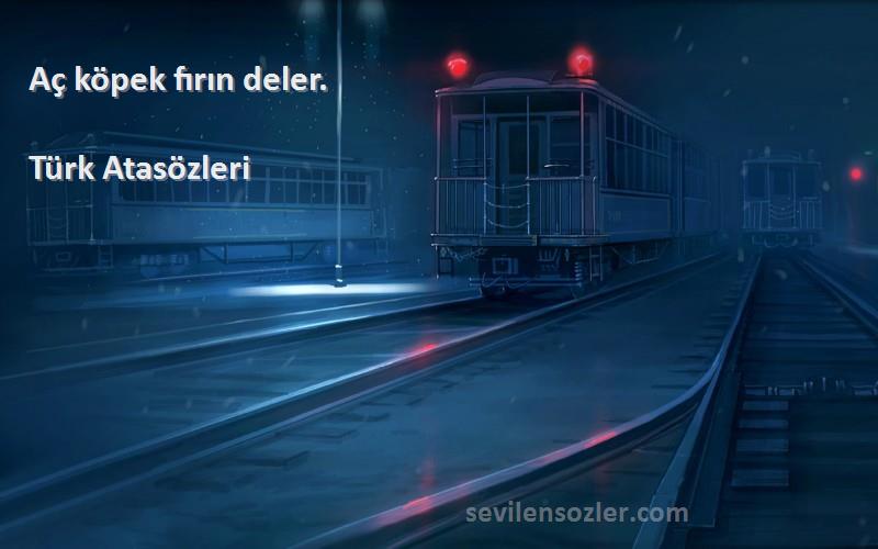 Türk Atasözleri - Aç köpek fırın deler.