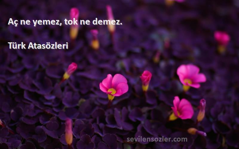 Türk Atasözleri - Aç ne yemez, tok ne demez.