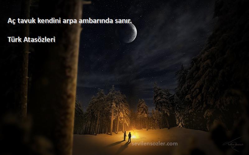 Türk Atasözleri - Aç tavuk kendini arpa ambarında sanır.