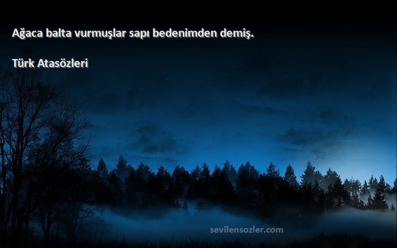 Türk Atasözleri - Ağaca balta vurmuşlar sapı bedenimden demiş.