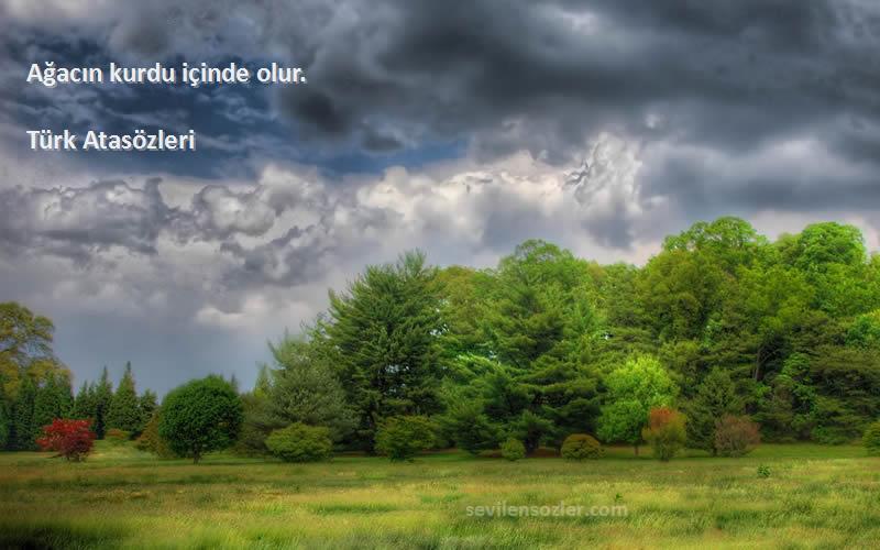 Türk Atasözleri - Ağacın kurdu içinde olur.