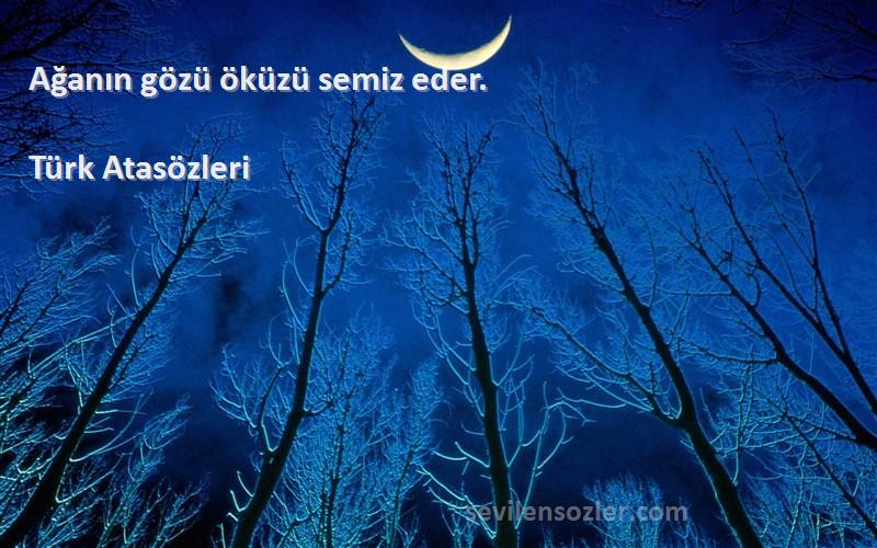 Türk Atasözleri - Ağanın gözü öküzü semiz eder.