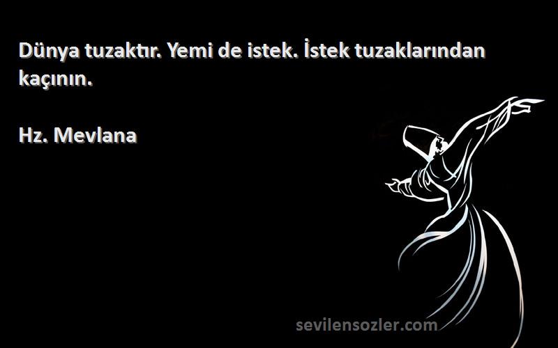 Hz. Mevlana - Dünya tuzaktır. Yemi de istek. İstek tuzaklarından kaçının.
